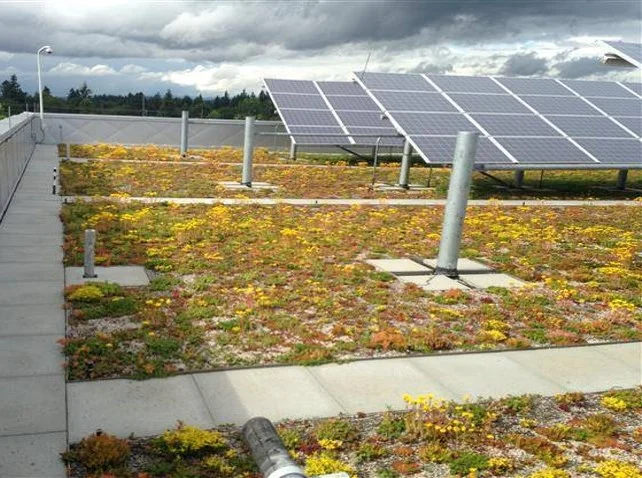 East Multnomah County Courthouse combines photovoltaic panels and vegetation on their roofs for their mutually beneficial qualities. 