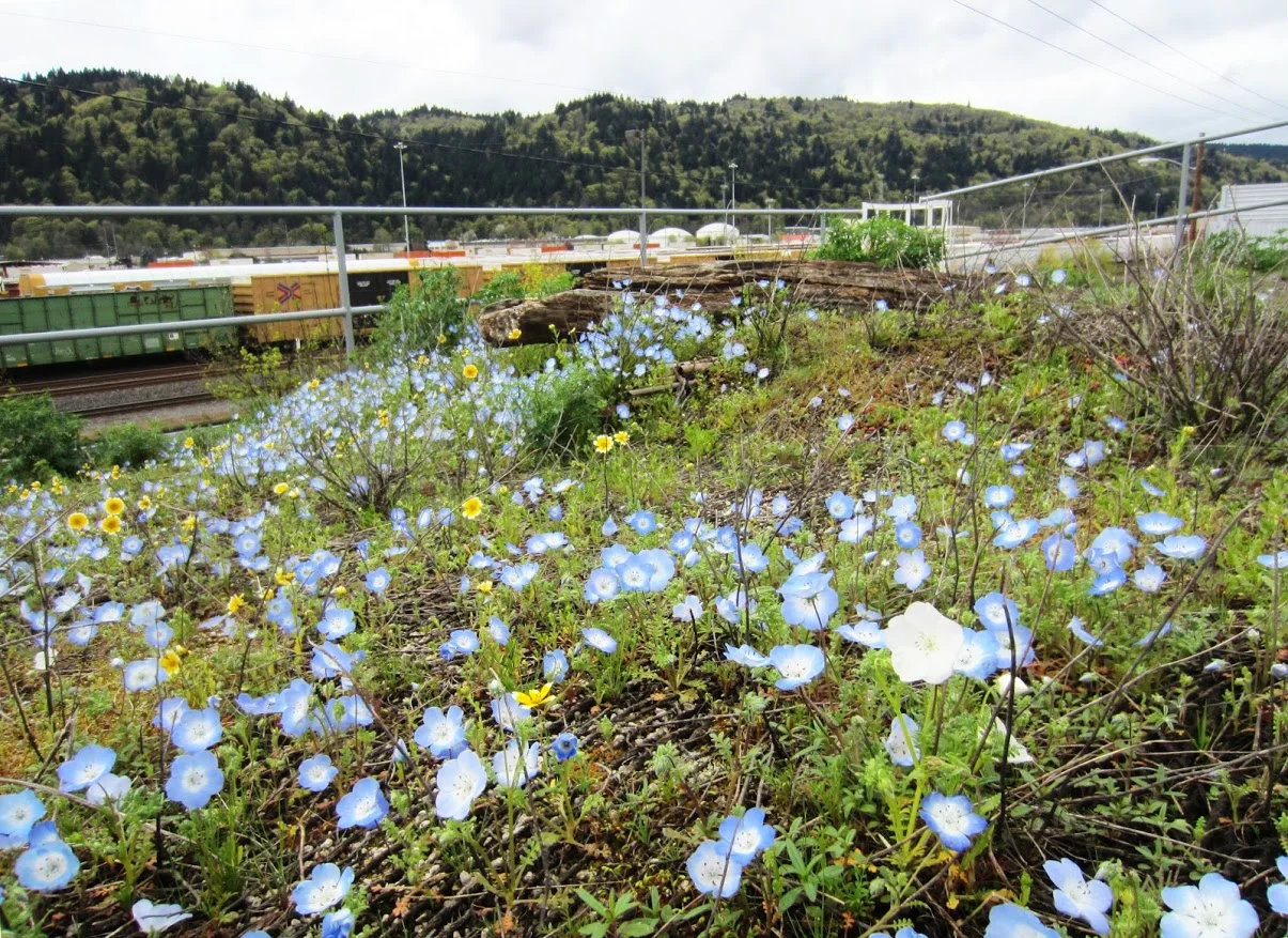 GRIT Meeting - January 2018