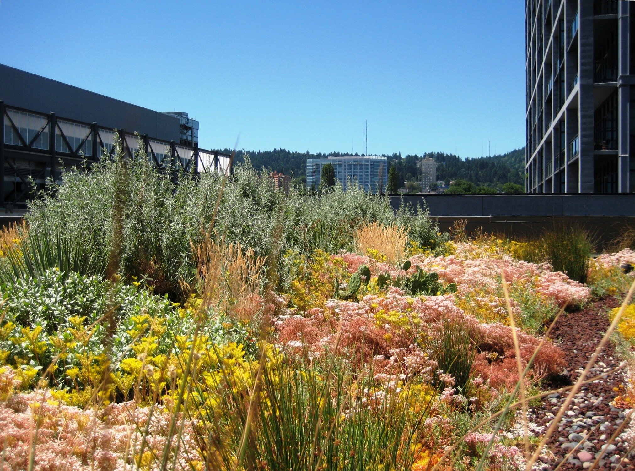  Green Roof information Think Tank   What we’re about    Our Mission  