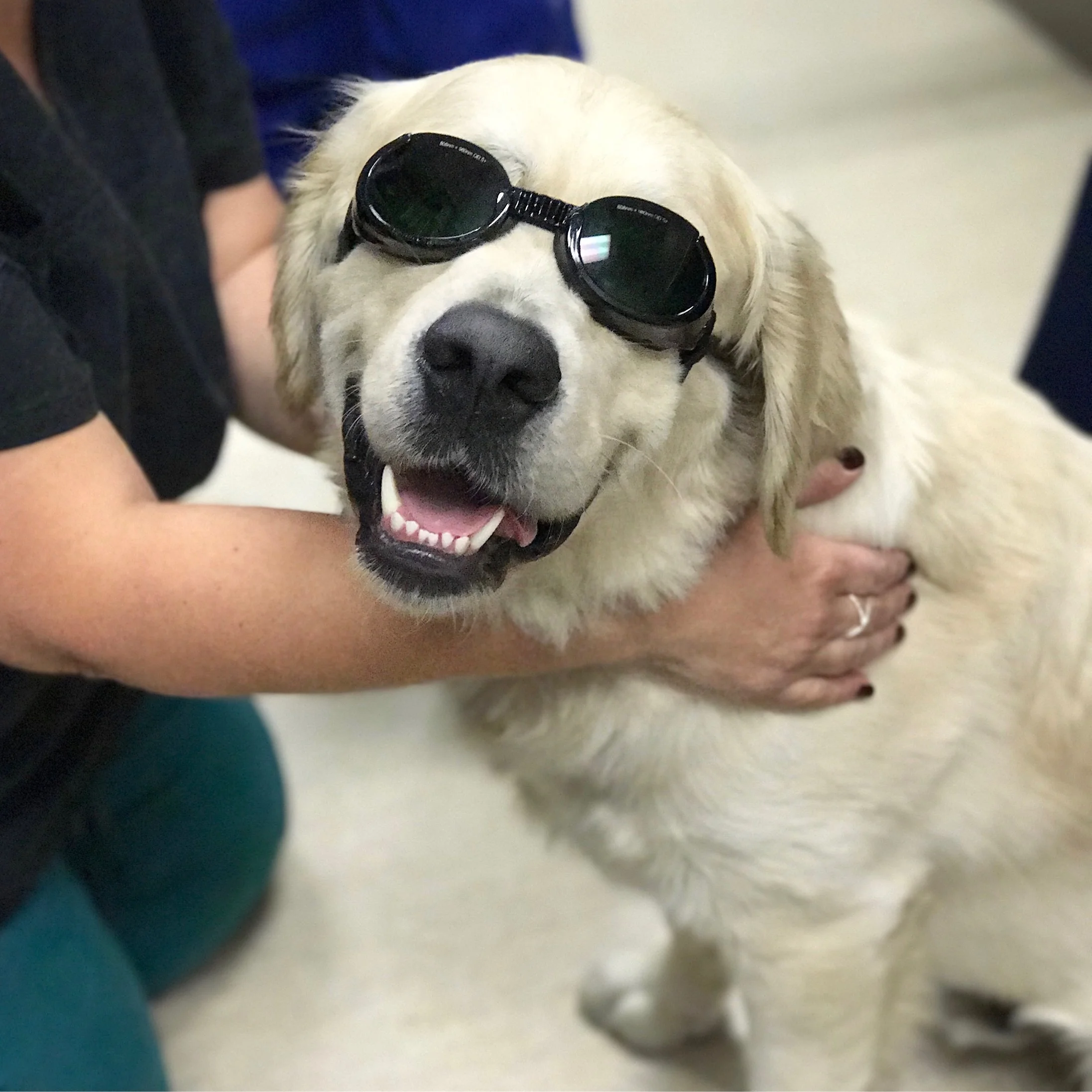 Ravioli Health Update