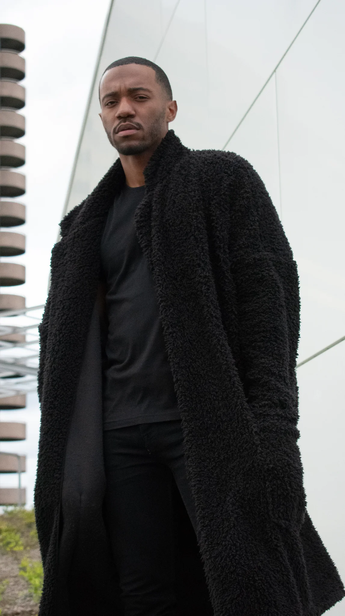 shea-7.jpg