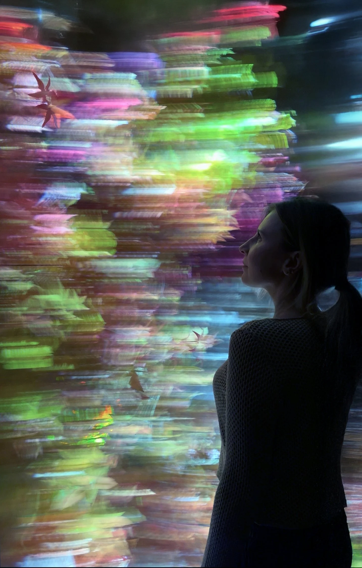 Specimens of Time: Gwangneung 