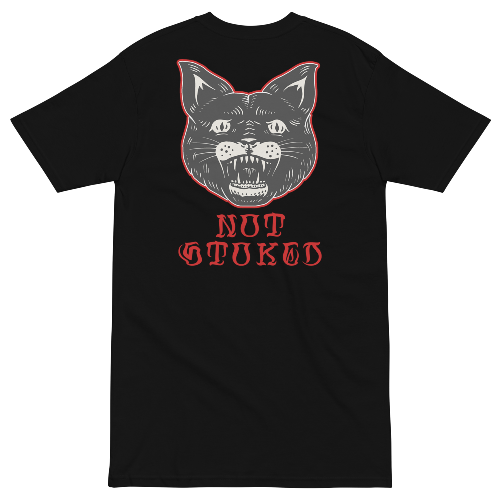 mens-premium-heavyweight-tee-black-back-620fea60c5472.png