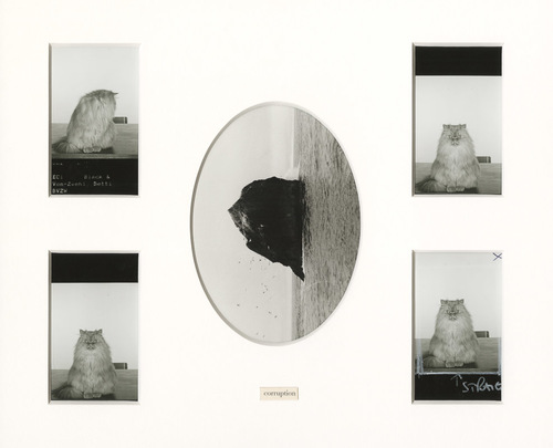 Album 31, page 8, 2014