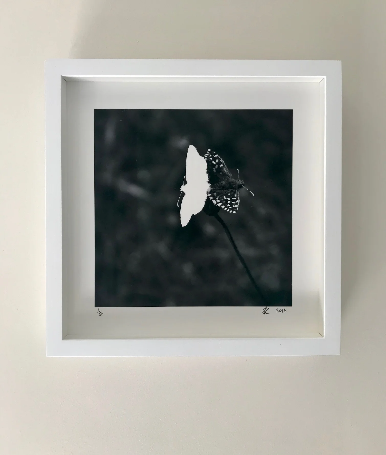 Grizzled Skippers, 2013 : The Death of a Beautiful Subject, 2018 (2) (2) - framed