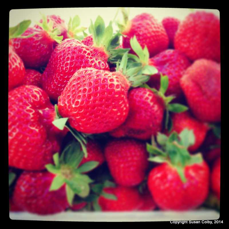 Strawberry Fields Forever