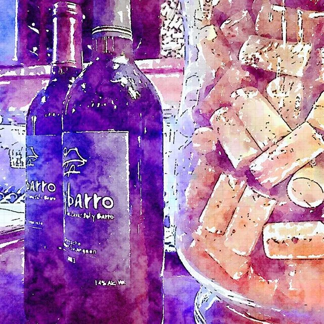 A #Waterlogue version #solybarro #wine #winetasting