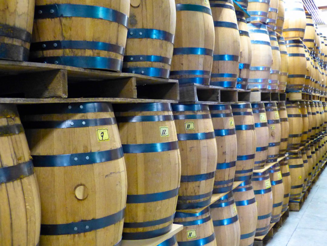 Another Big Adventure