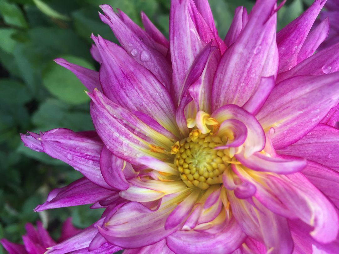 Almost Packed Up and Ready to Go