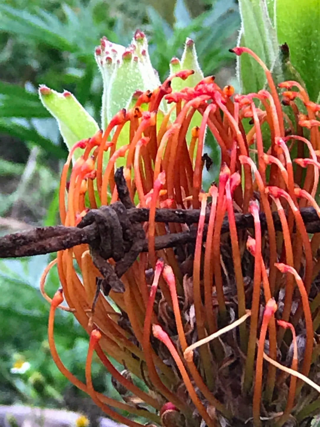 Then There Were Three