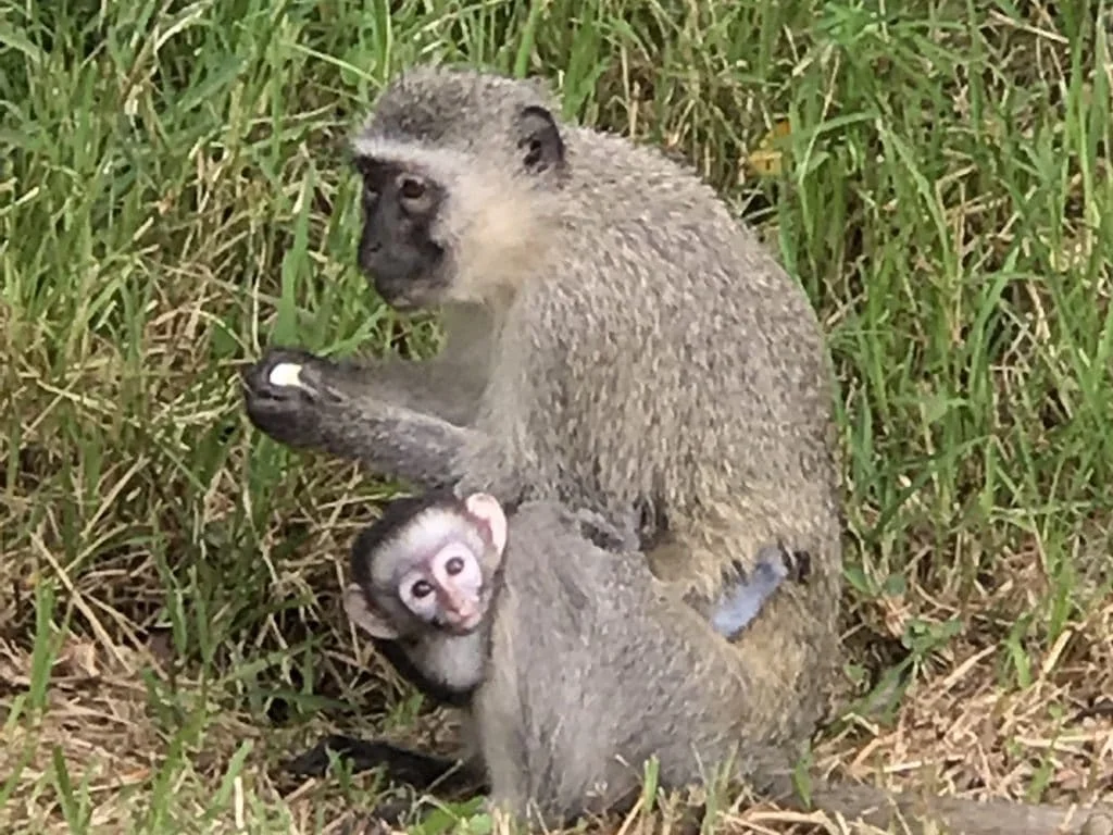 Overnight in Zululand