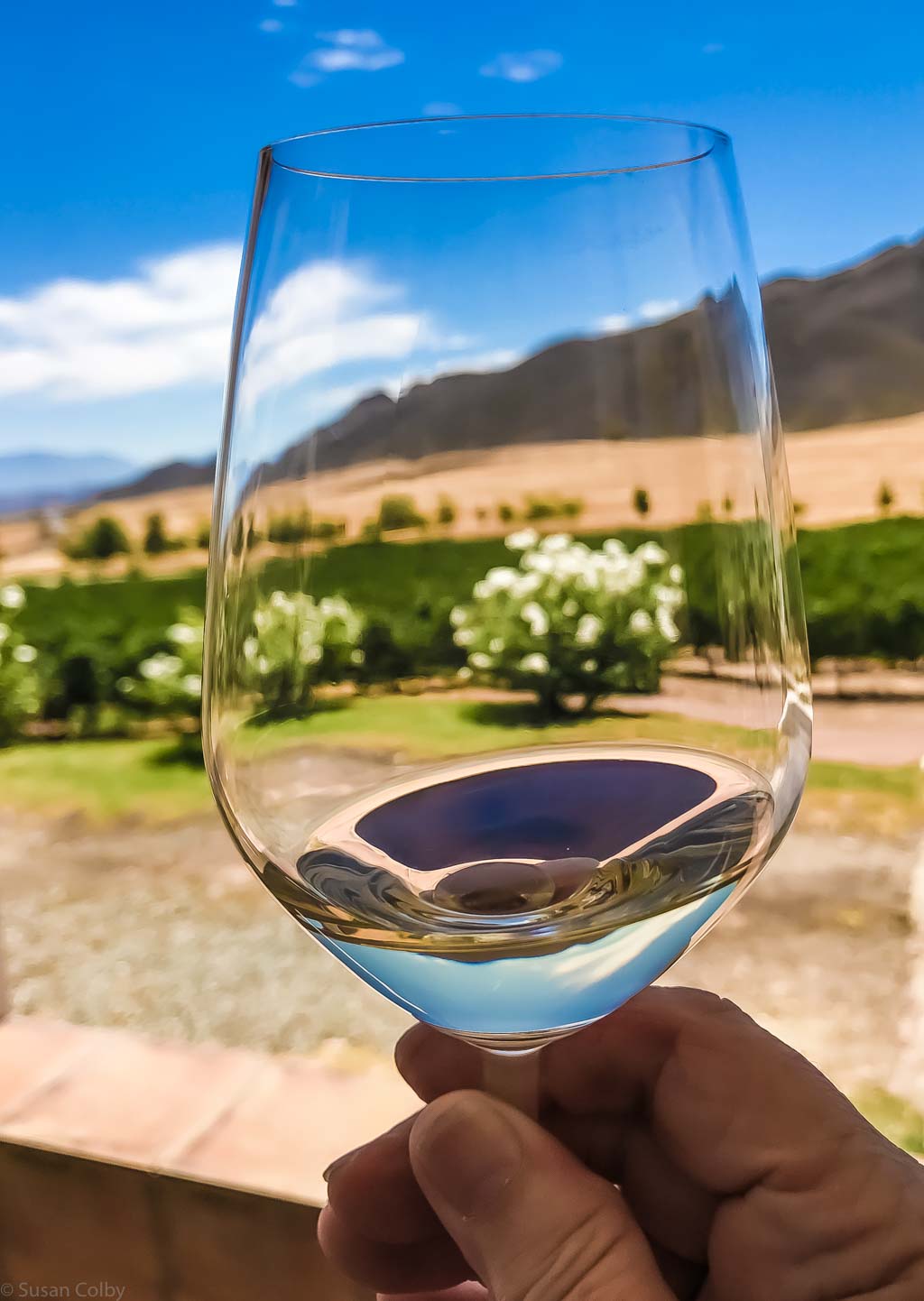 wine at Stettyn Cellars