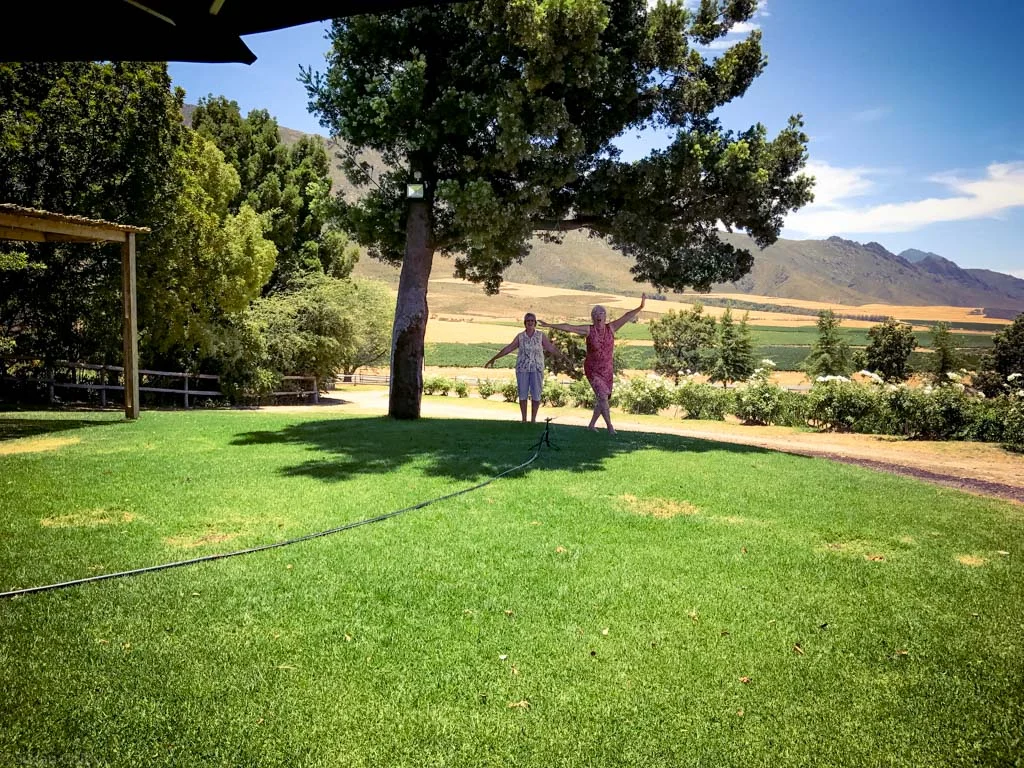 Stettyn Cellars - Our Favourite Vineyard