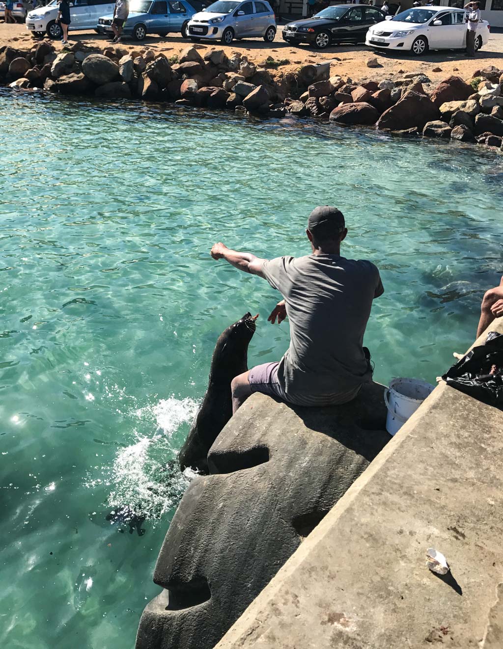 Seal feeding