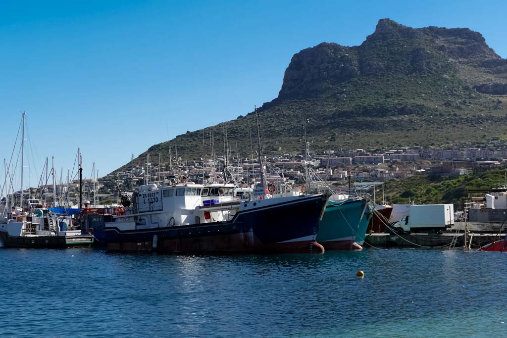 Fishing boats