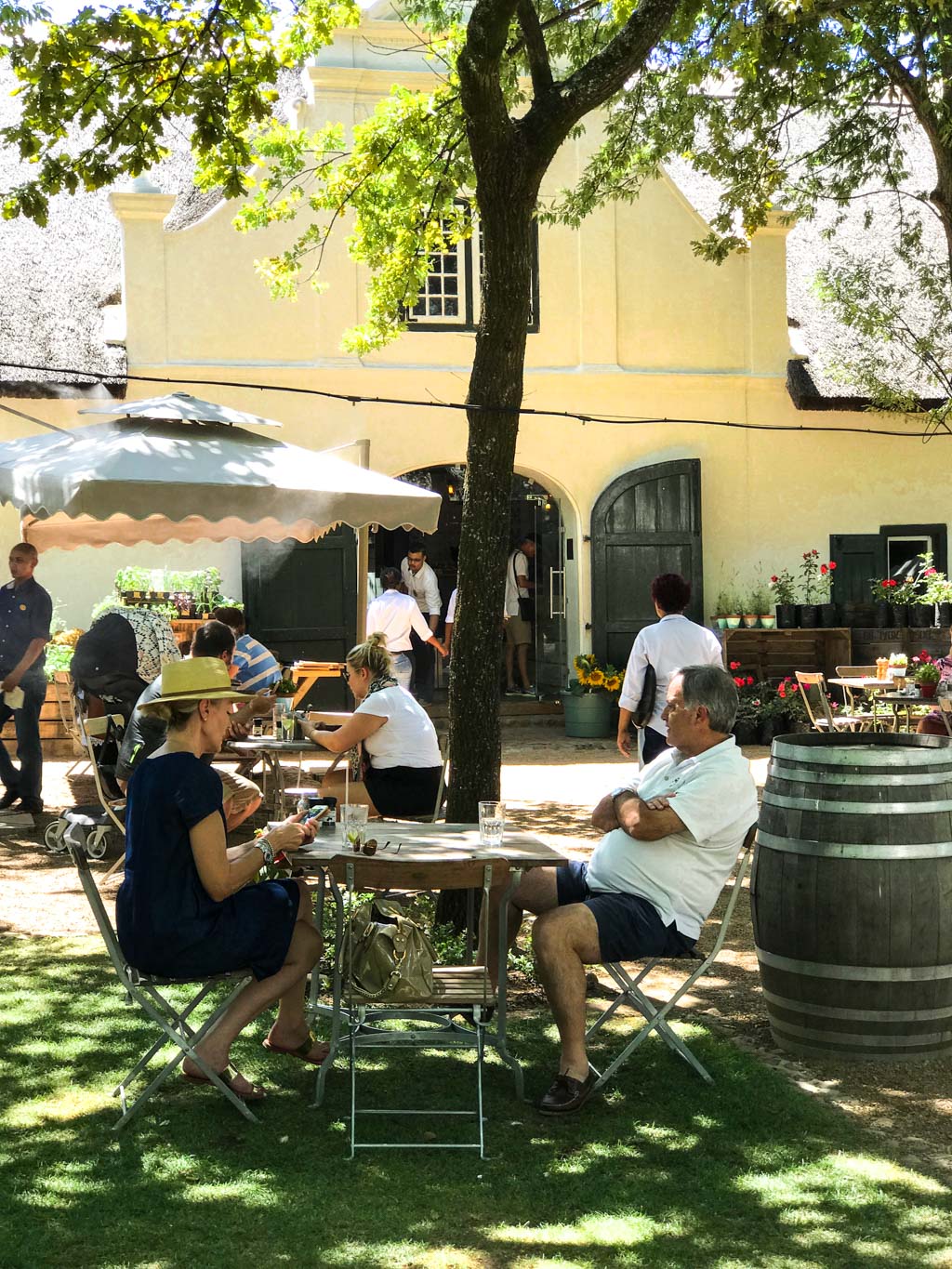 Lunch under the trees