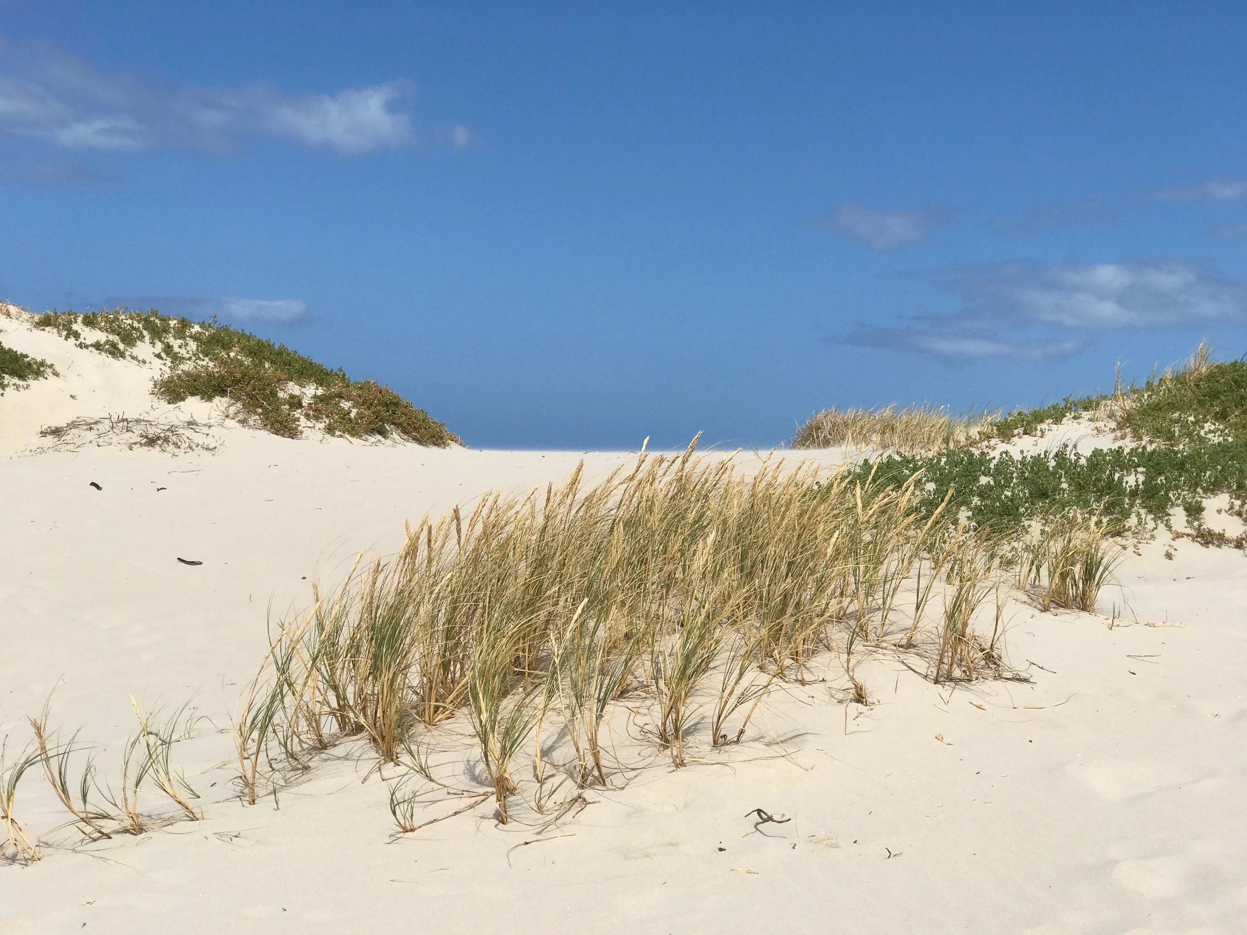 Hawston, Western Cape
