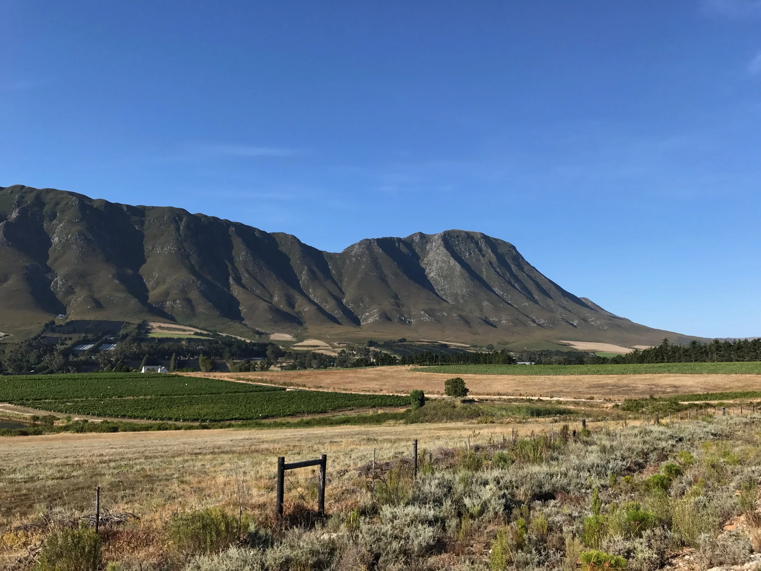 The Overburg