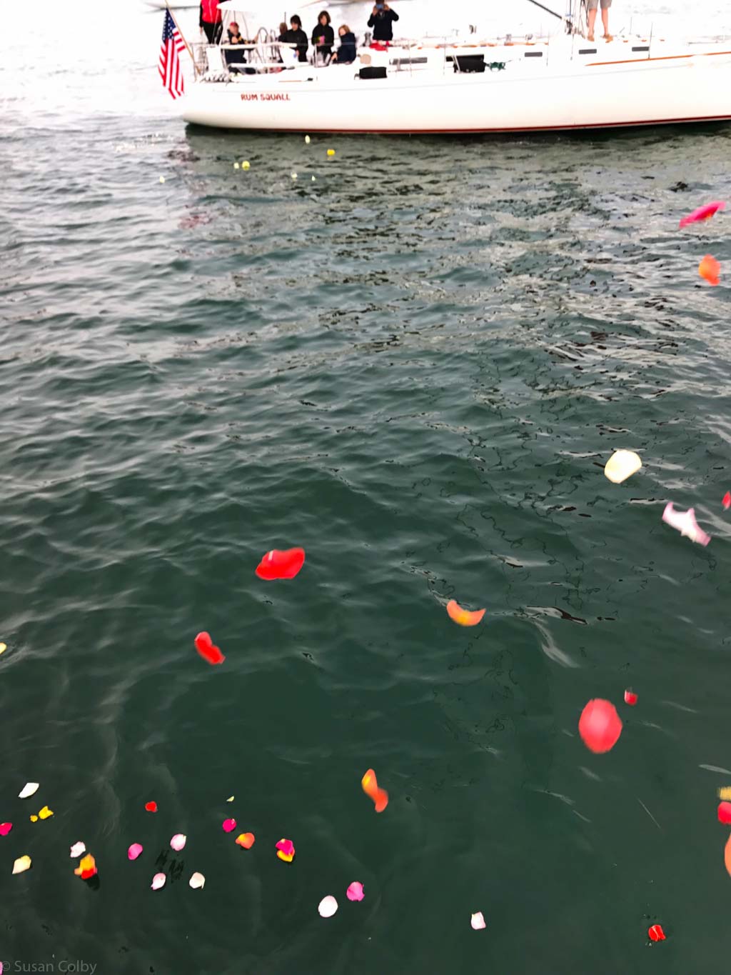 Rose petals on the water