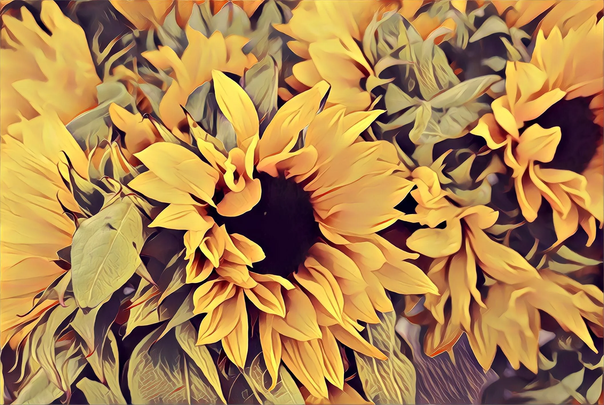 If You Don't Ask, You Don't Get