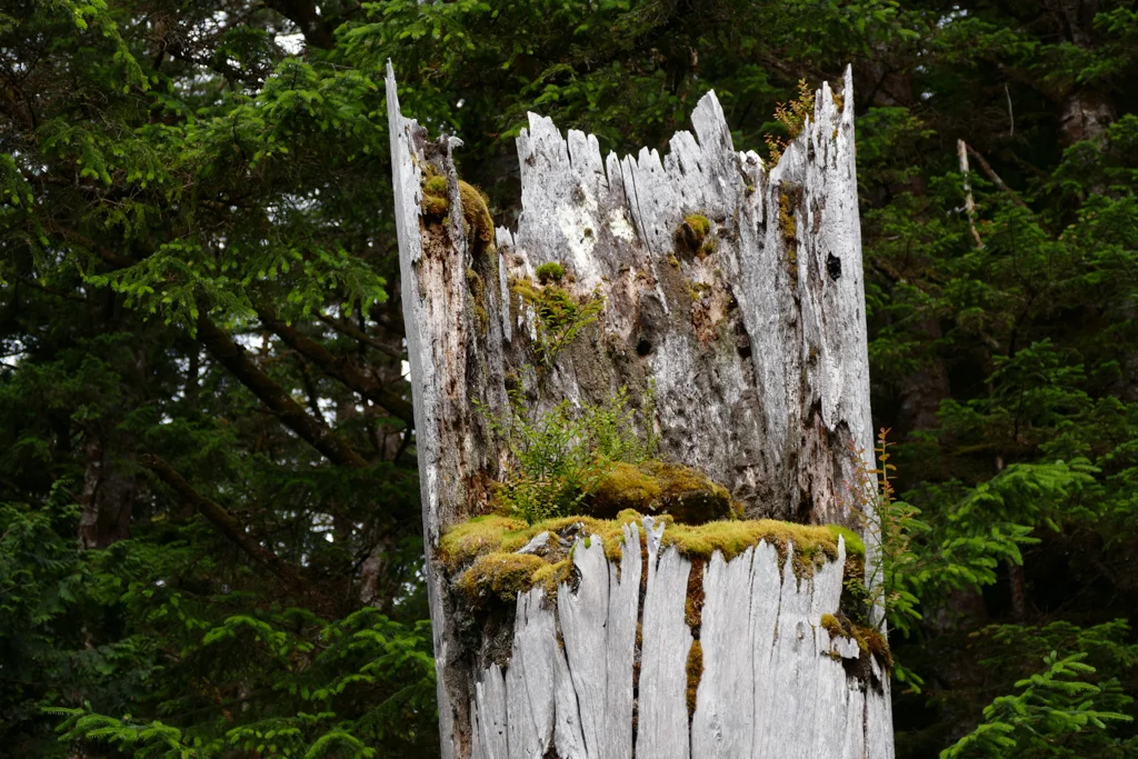 Mortuary Pole 