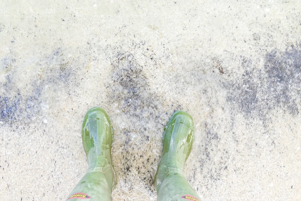  Gum Boots 