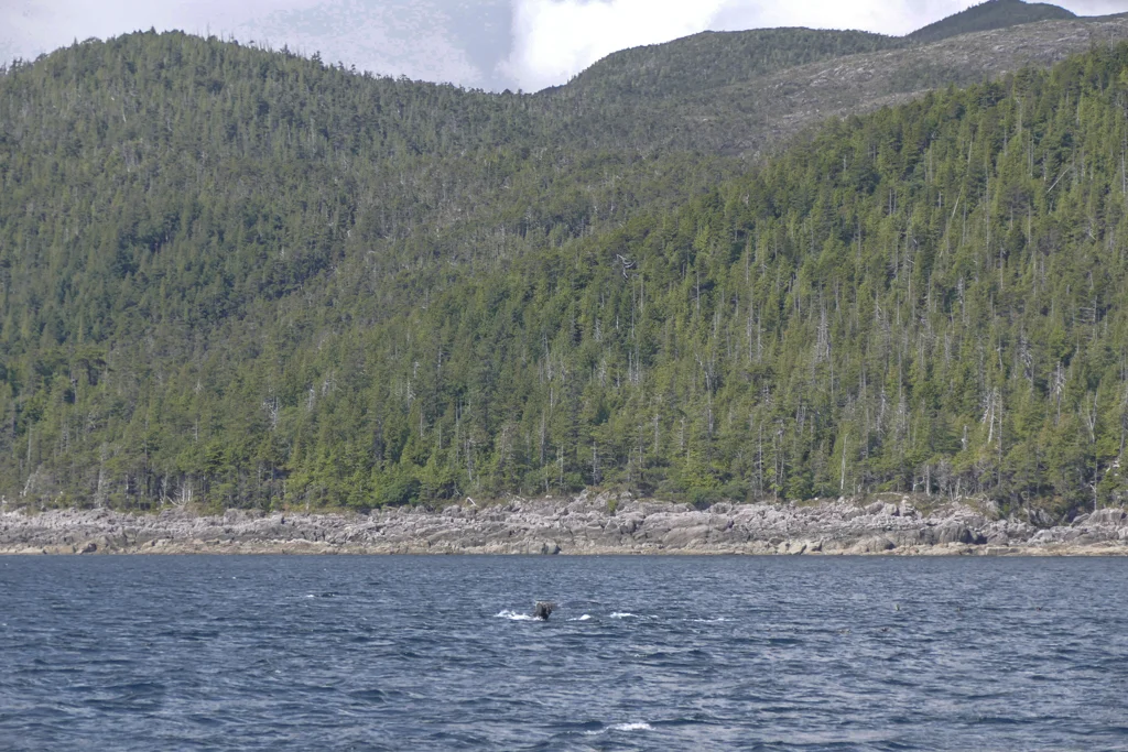 gwaii hanaas-32.jpg