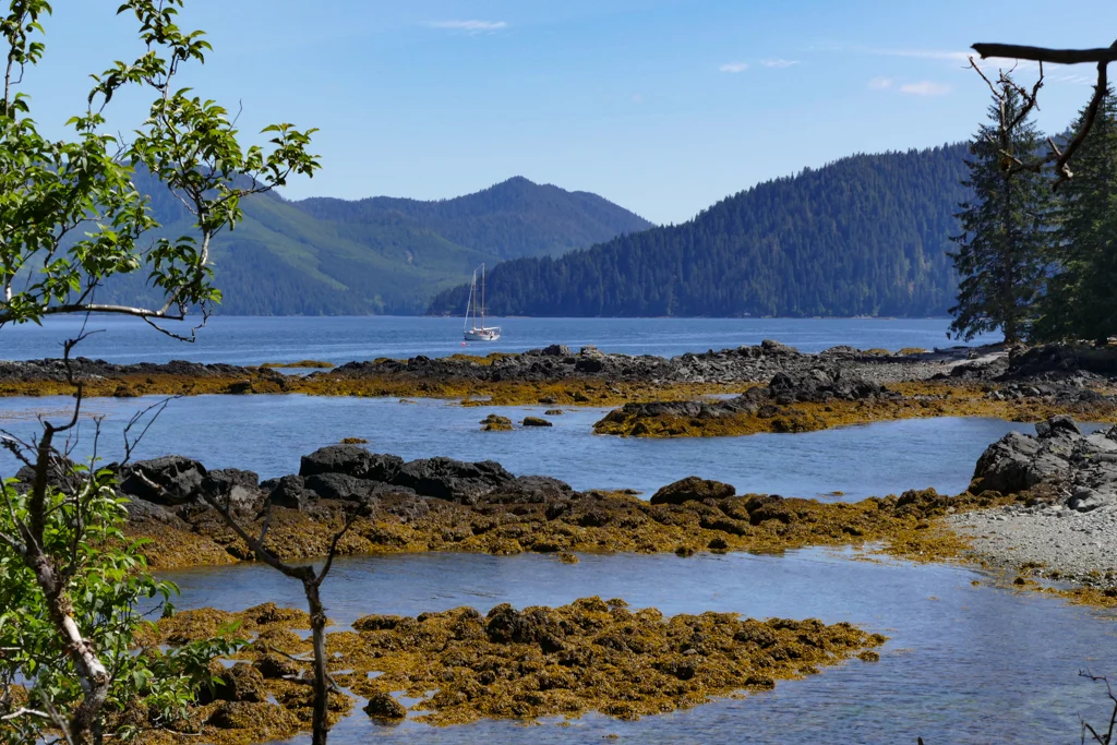 gwaii hanaas-60.jpg