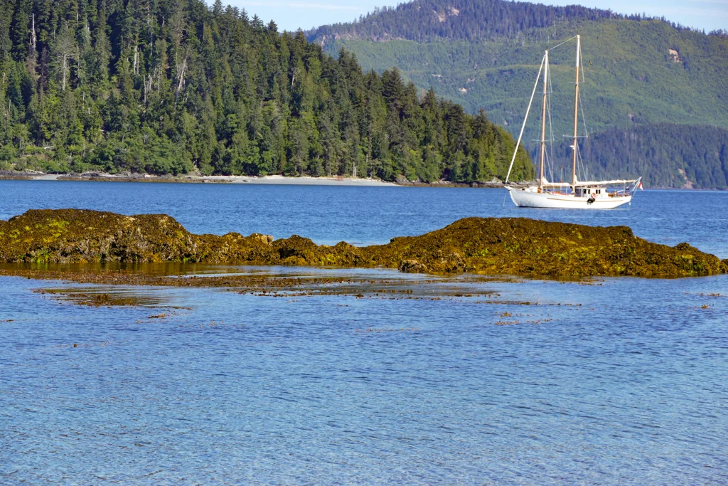 gwaii hanaas-63.jpg