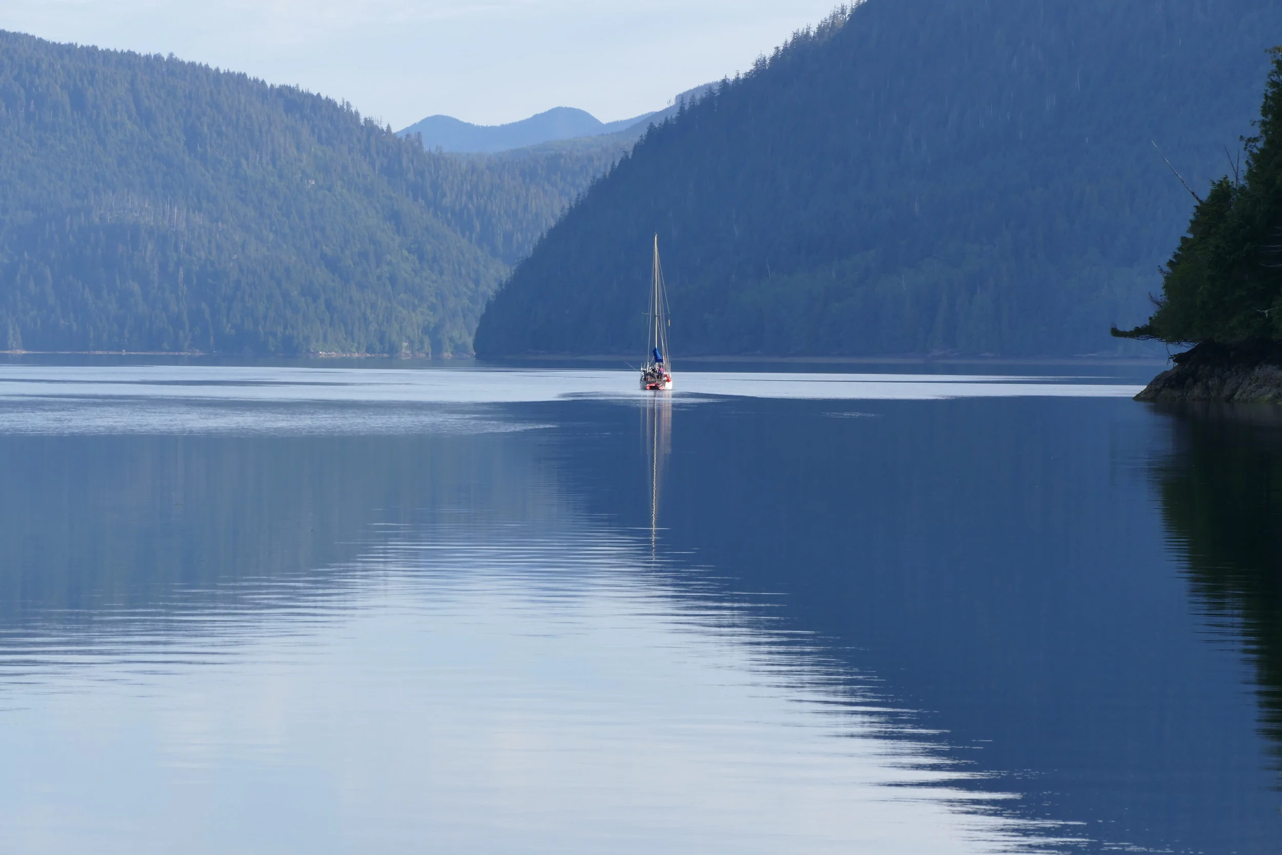 Haida Gwaii Sea Safari