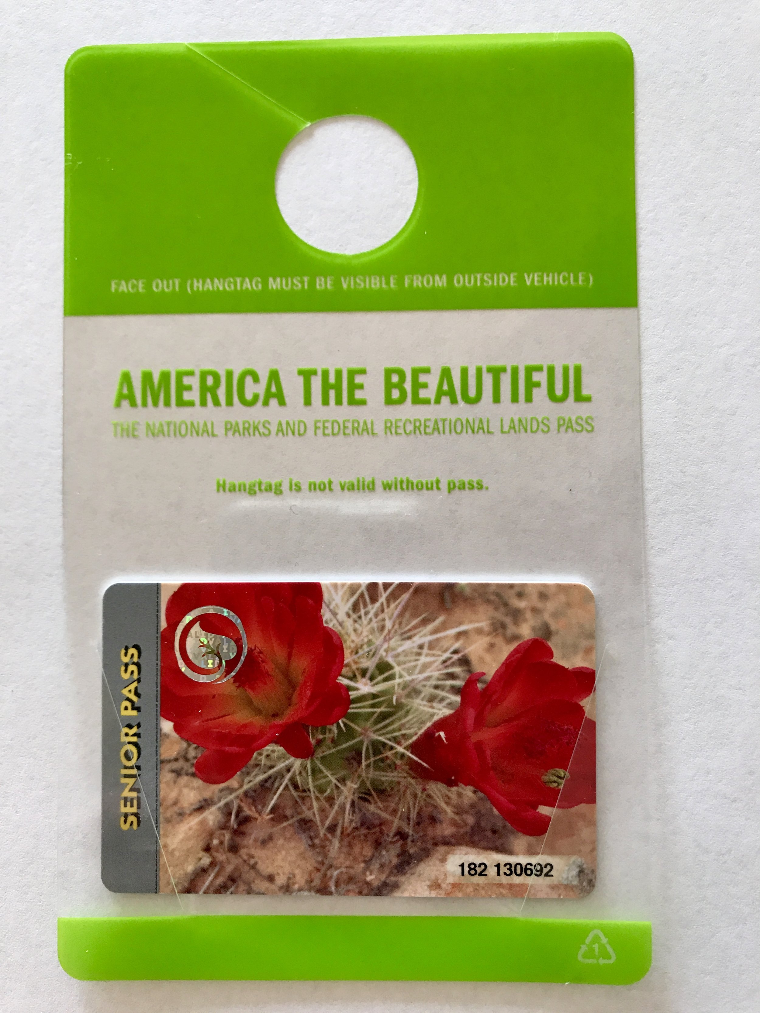 The One Year Plan is Shrinking