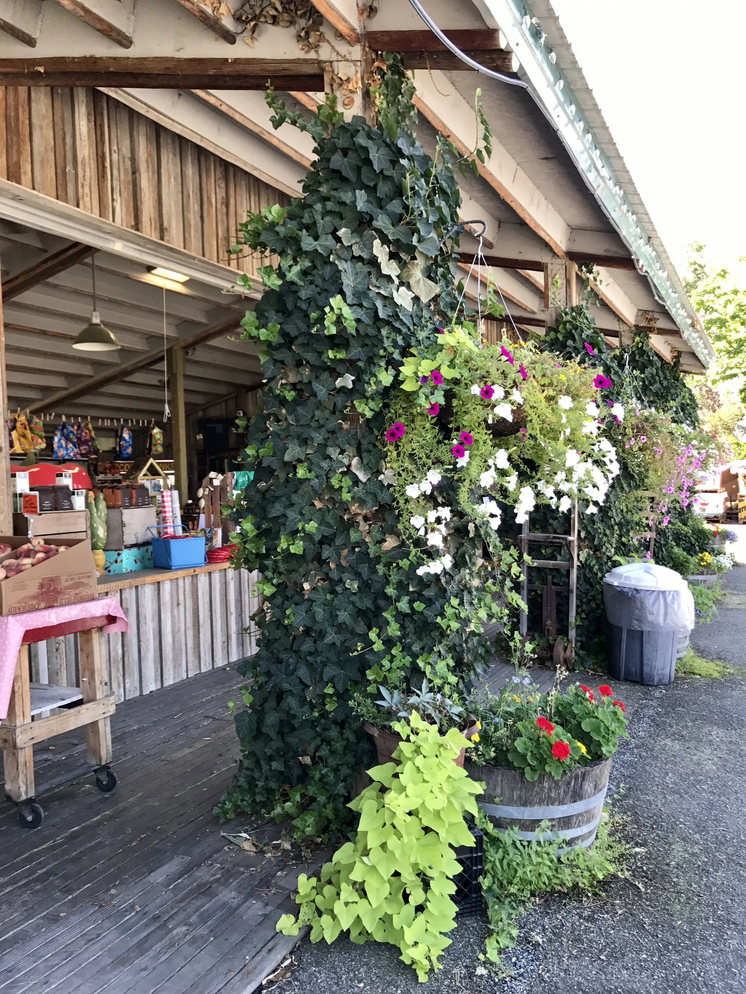 Local fruit stand