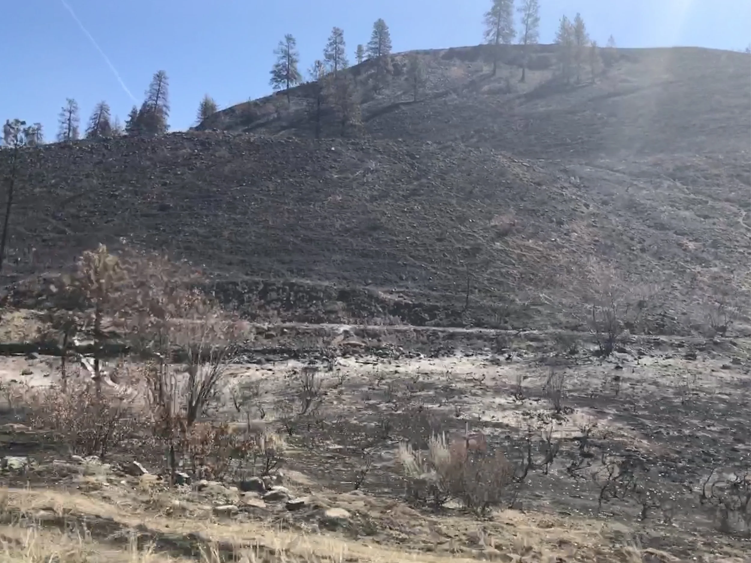 Last year's burn area