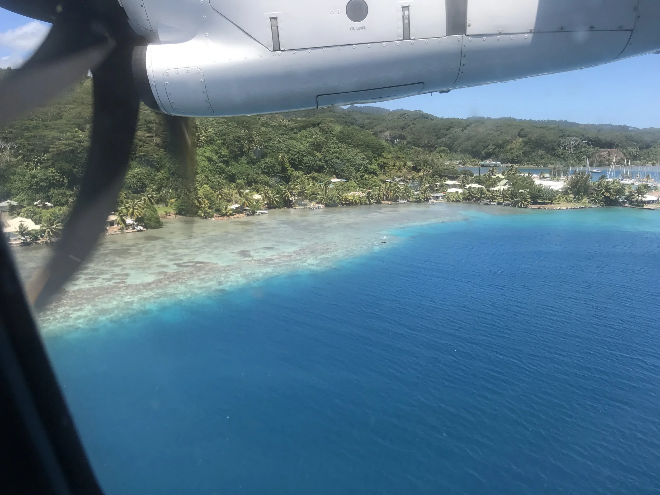 Reef
