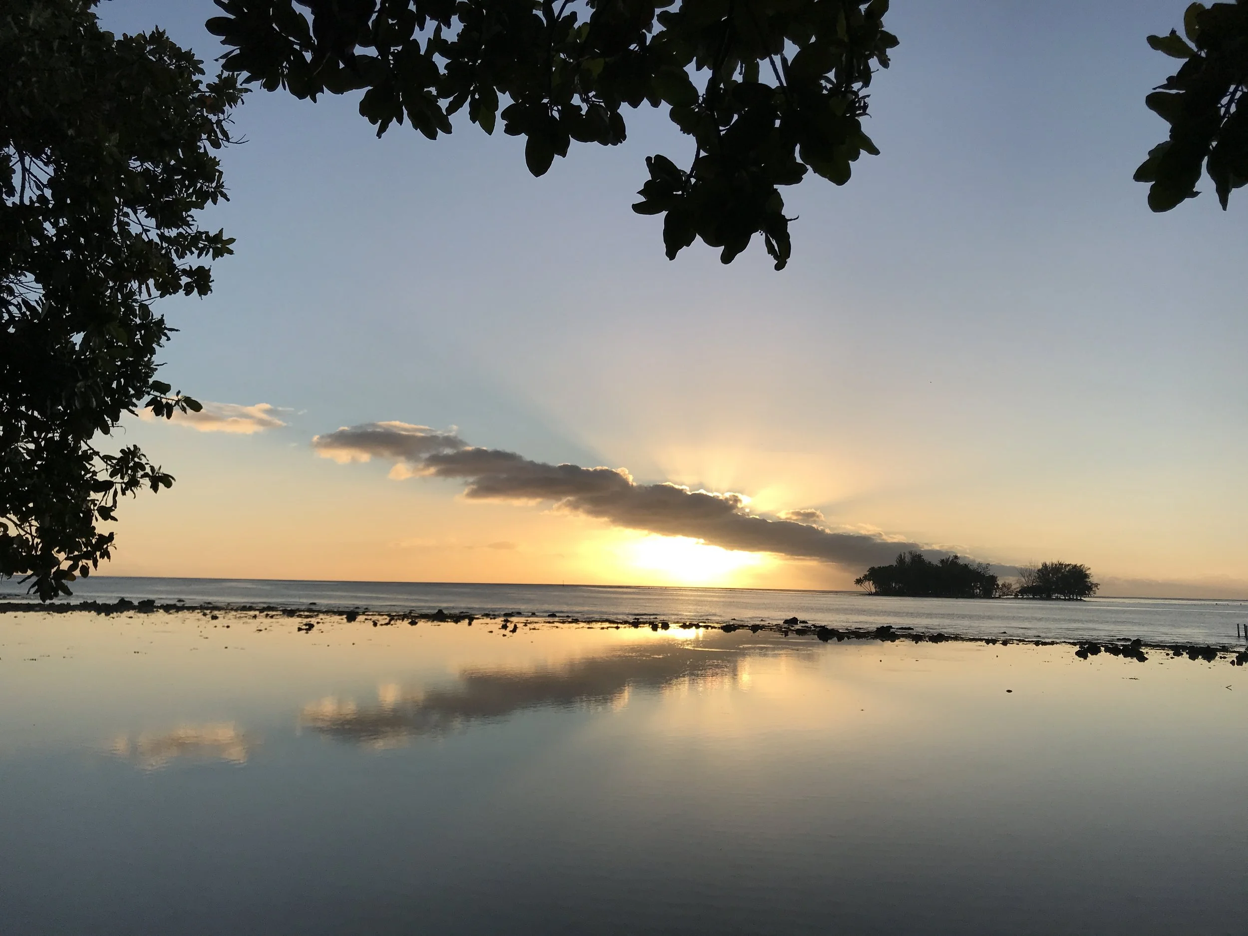 sunset