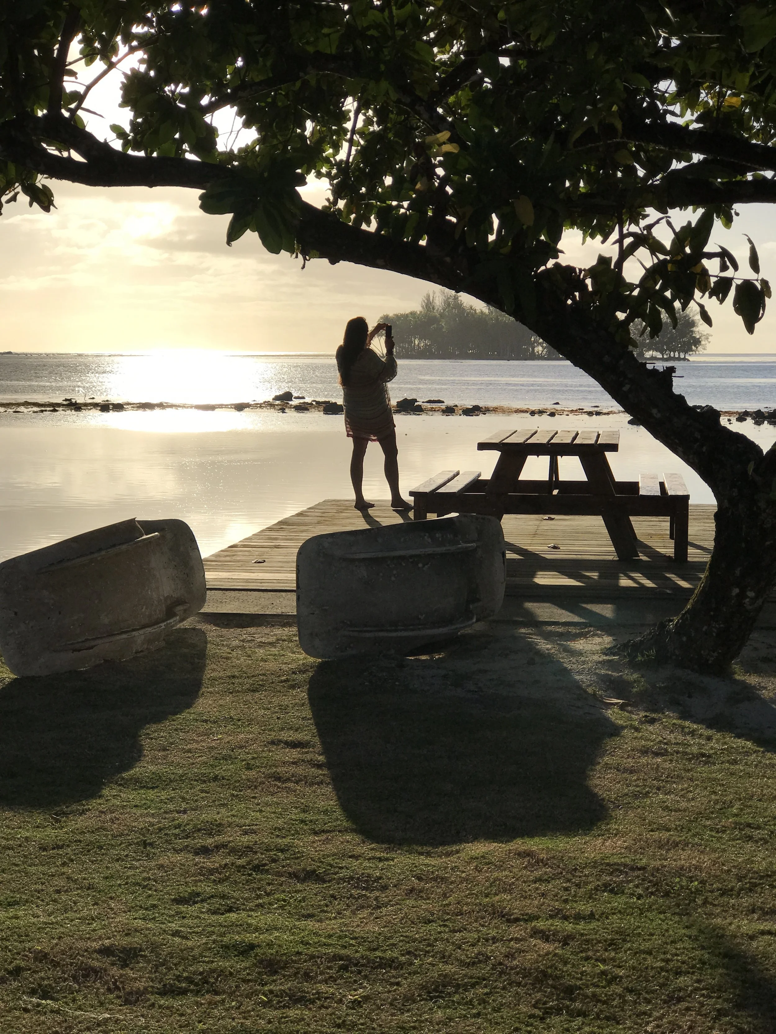 jane sunset