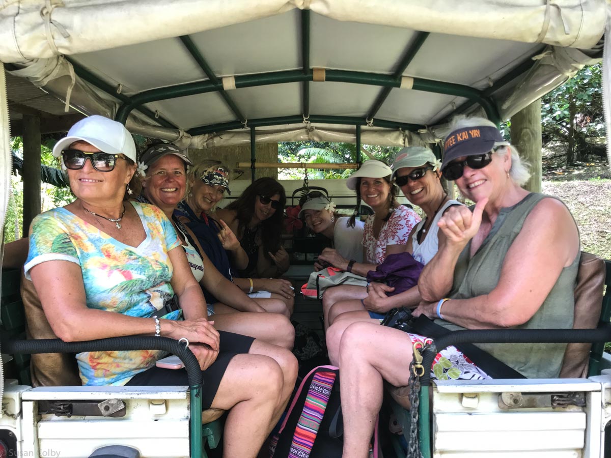 crew in safari bus