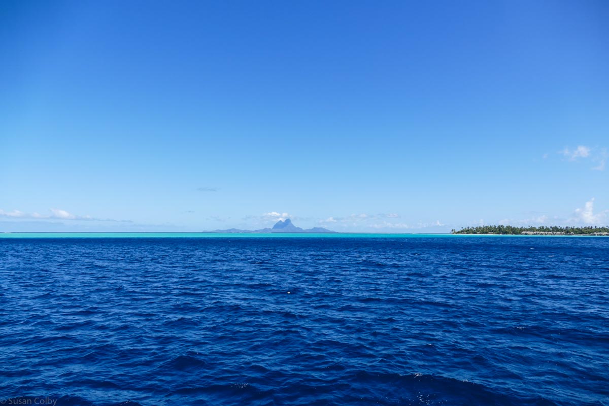 Day 3 Tahiti-6.jpg