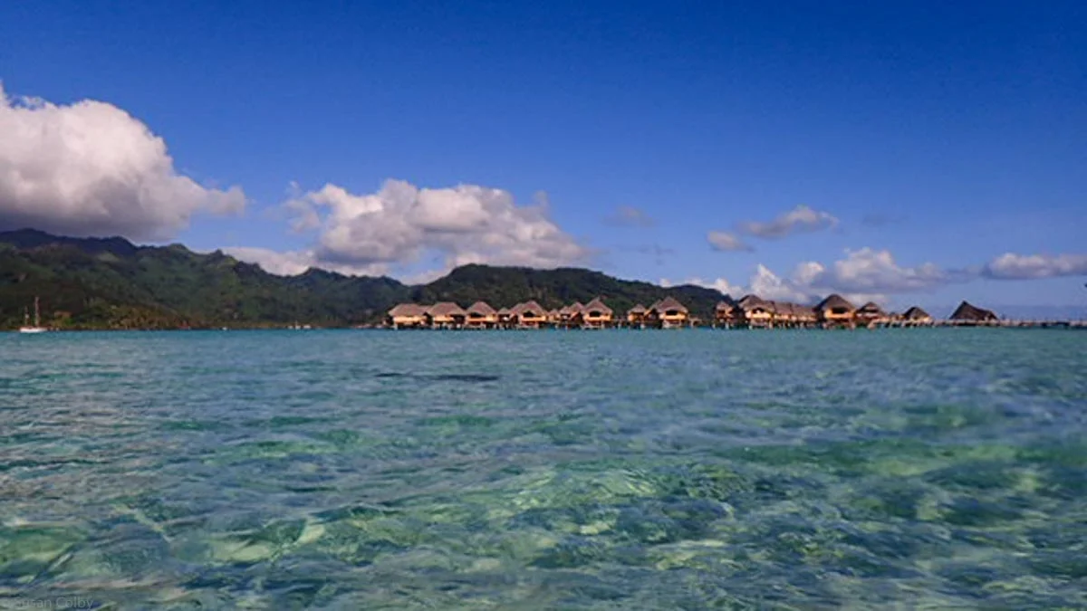 Day 3 Tahiti-34.jpg