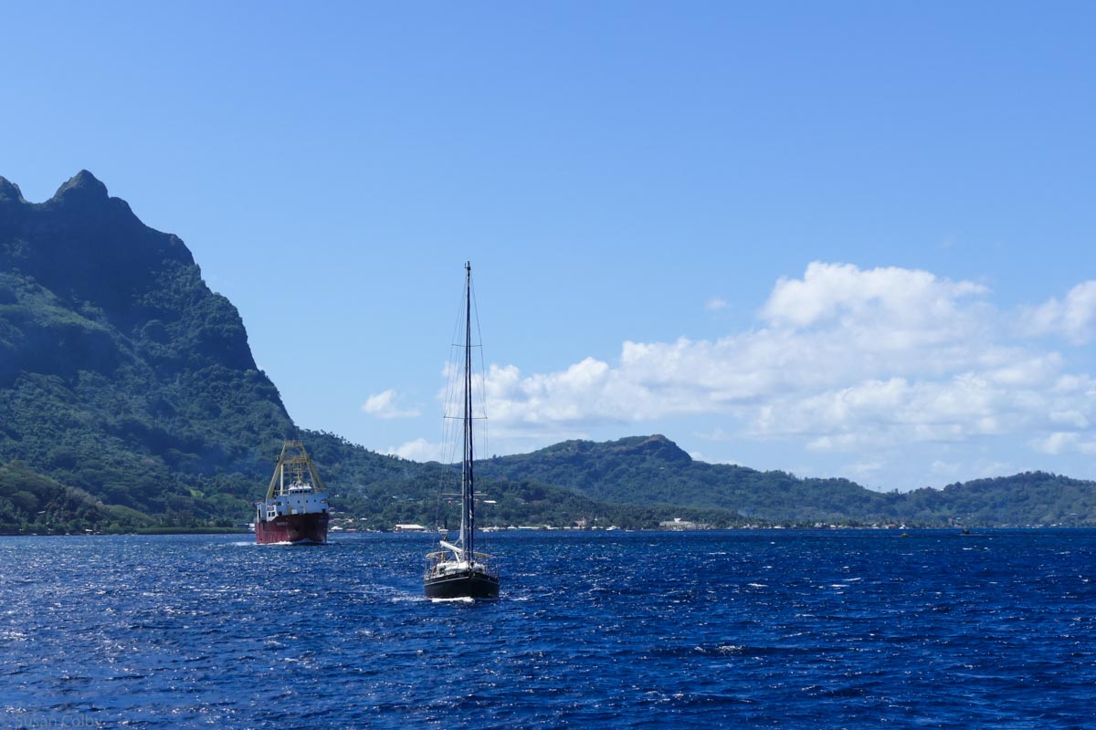 Day 6-7 Tahiti-2.jpg