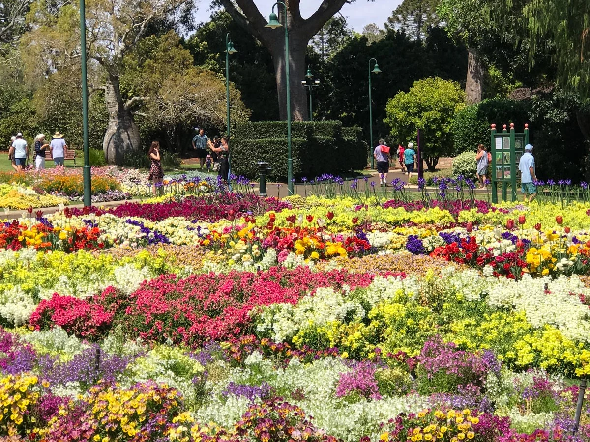 australia-5.jpg