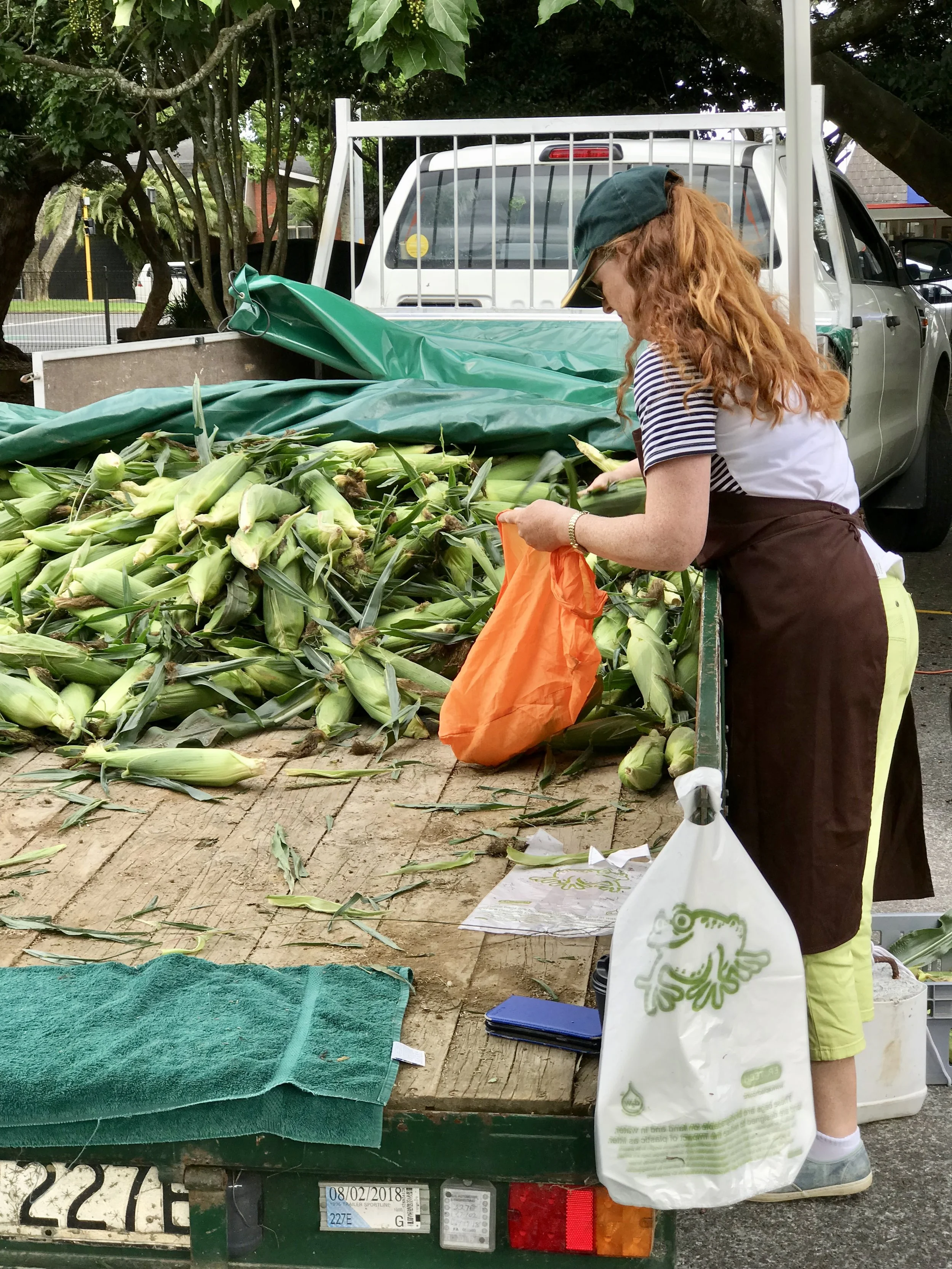  Fresh corn at the farmers market in Tauranga 