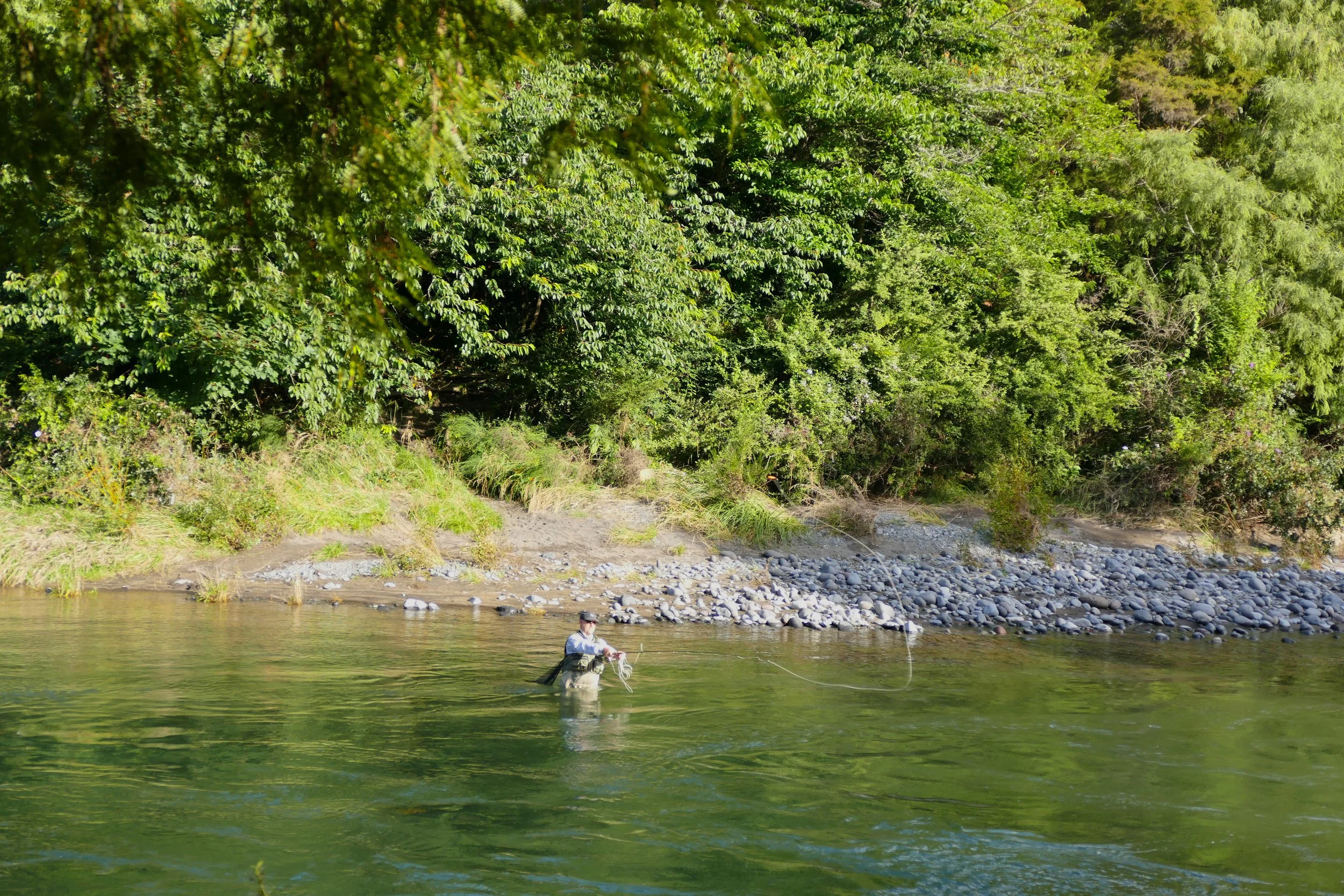  Fly fisherman on the Tongariro River 
