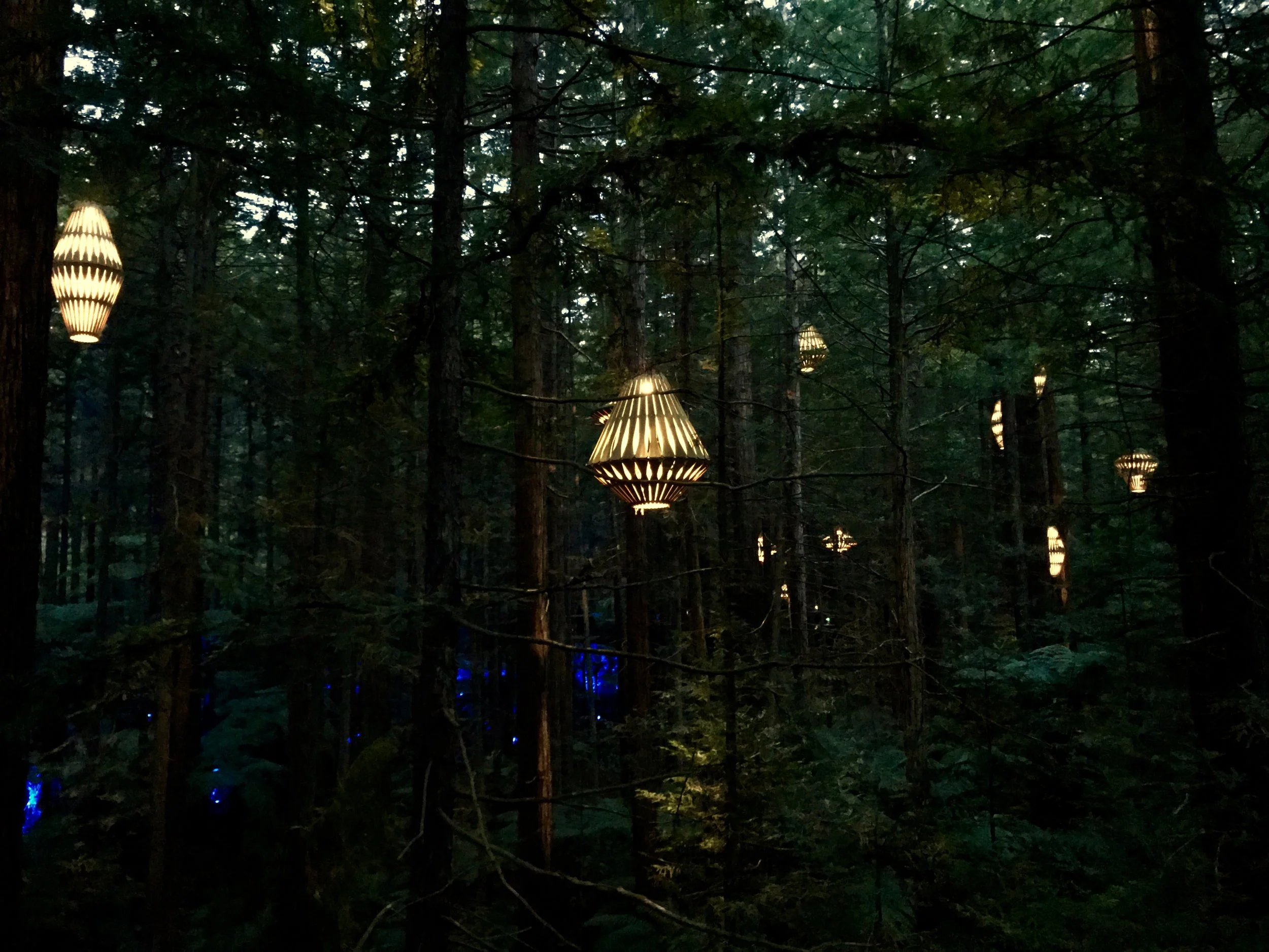 A Magical Experience