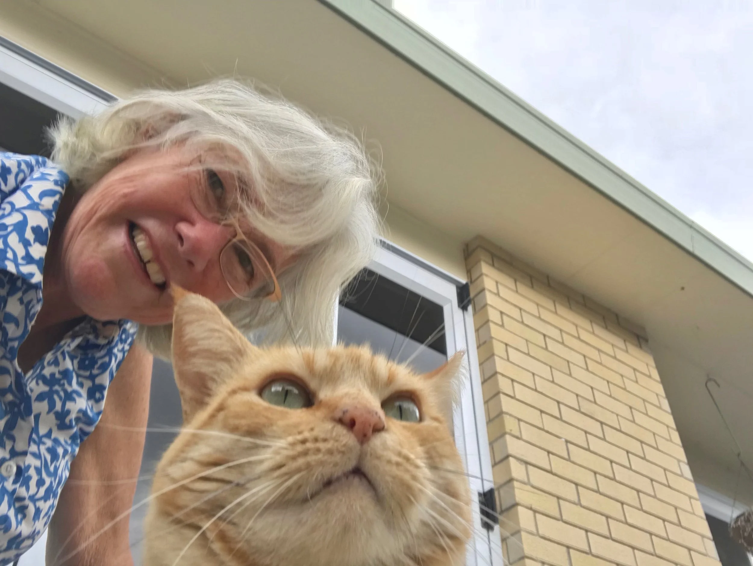 #housesitting + #vanlife +grannytravels = #newlife