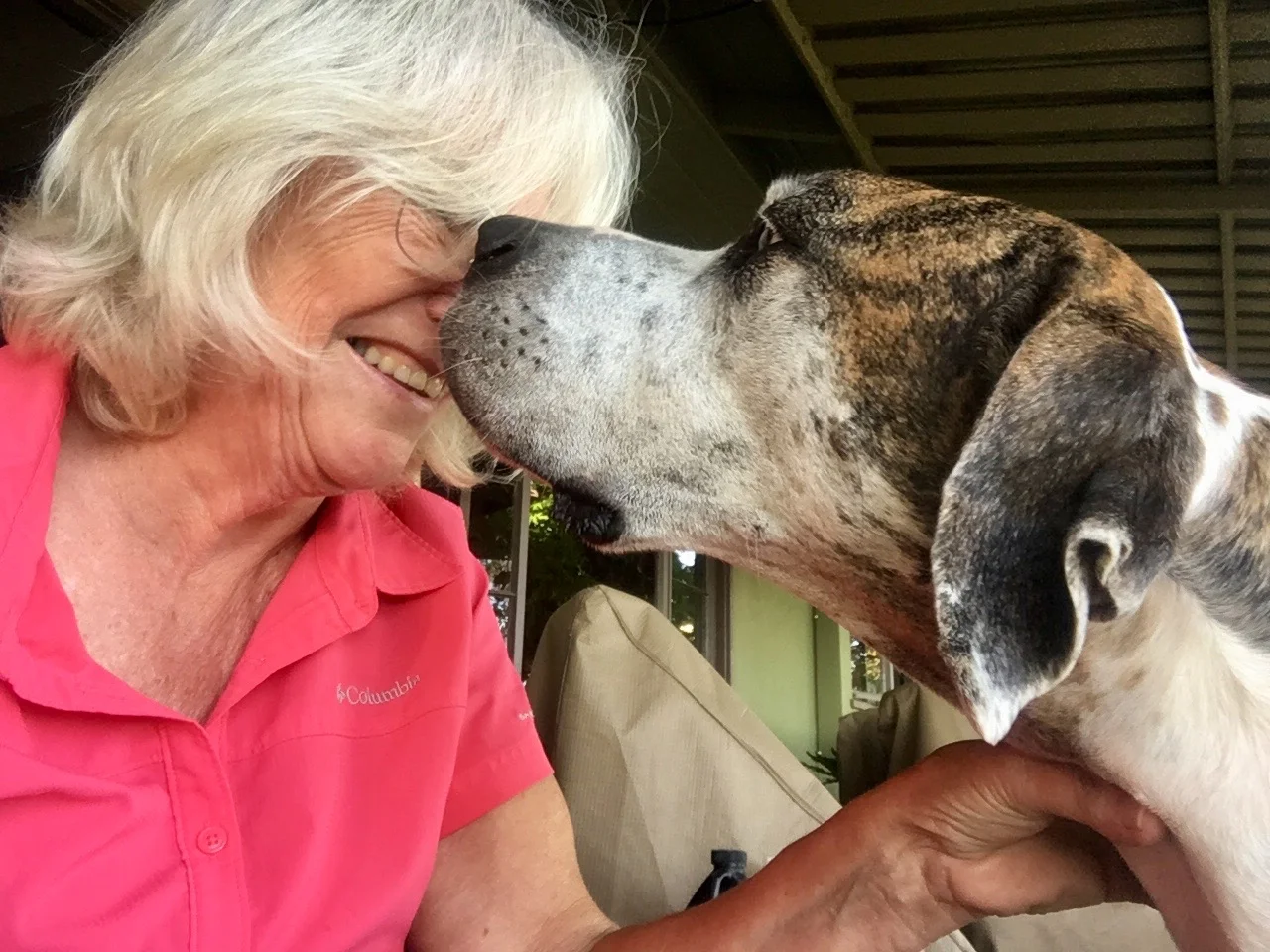 Four Months of Wanderings