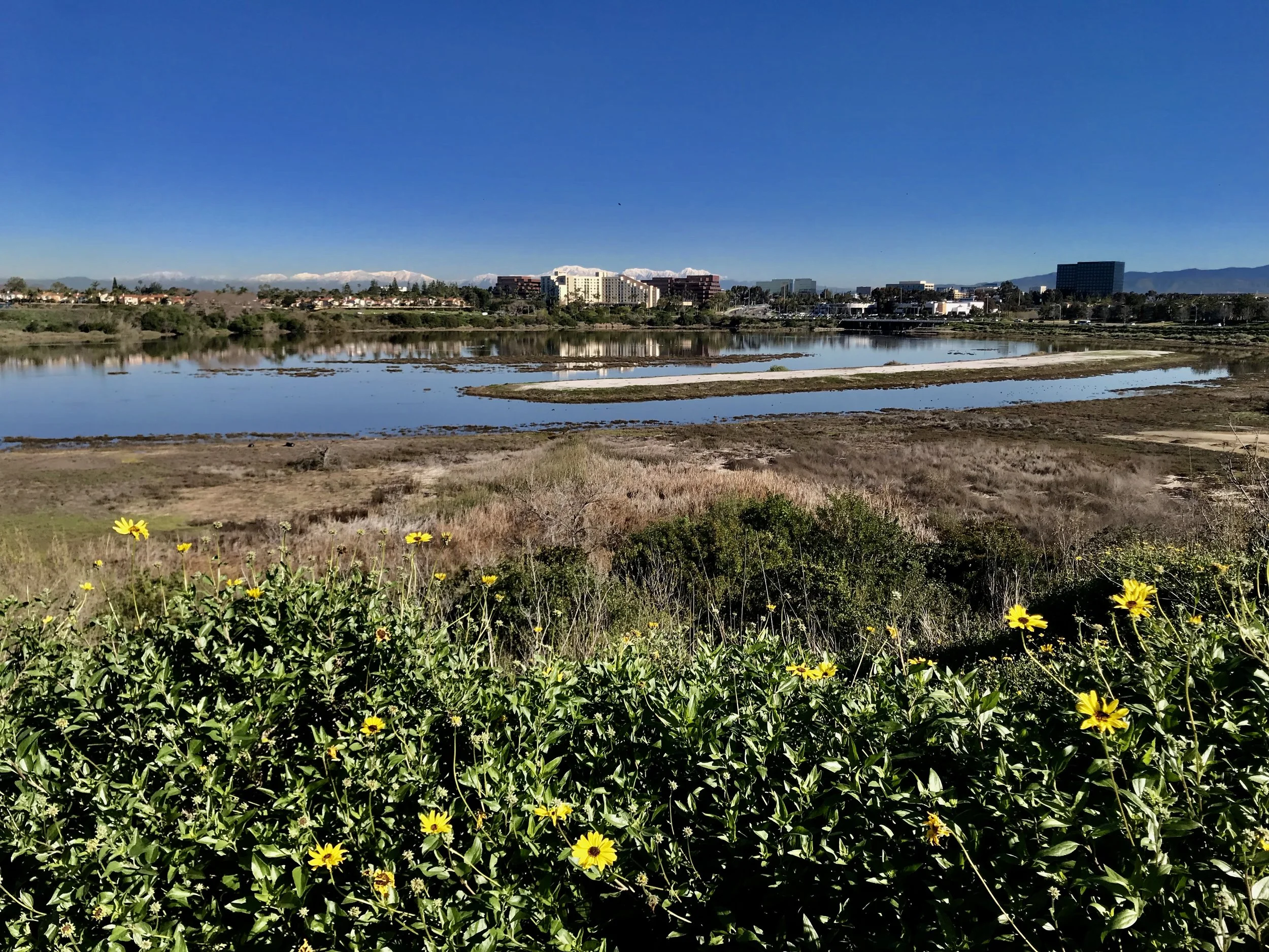 Still in Mulling Mode