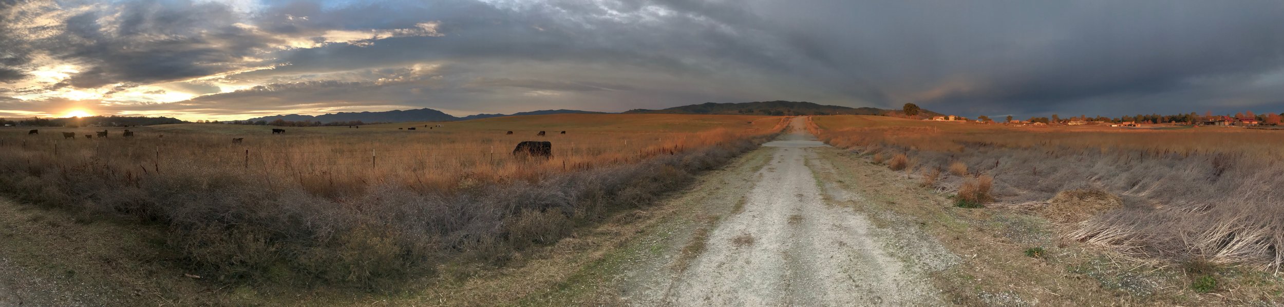 This is how I see the road ahead!