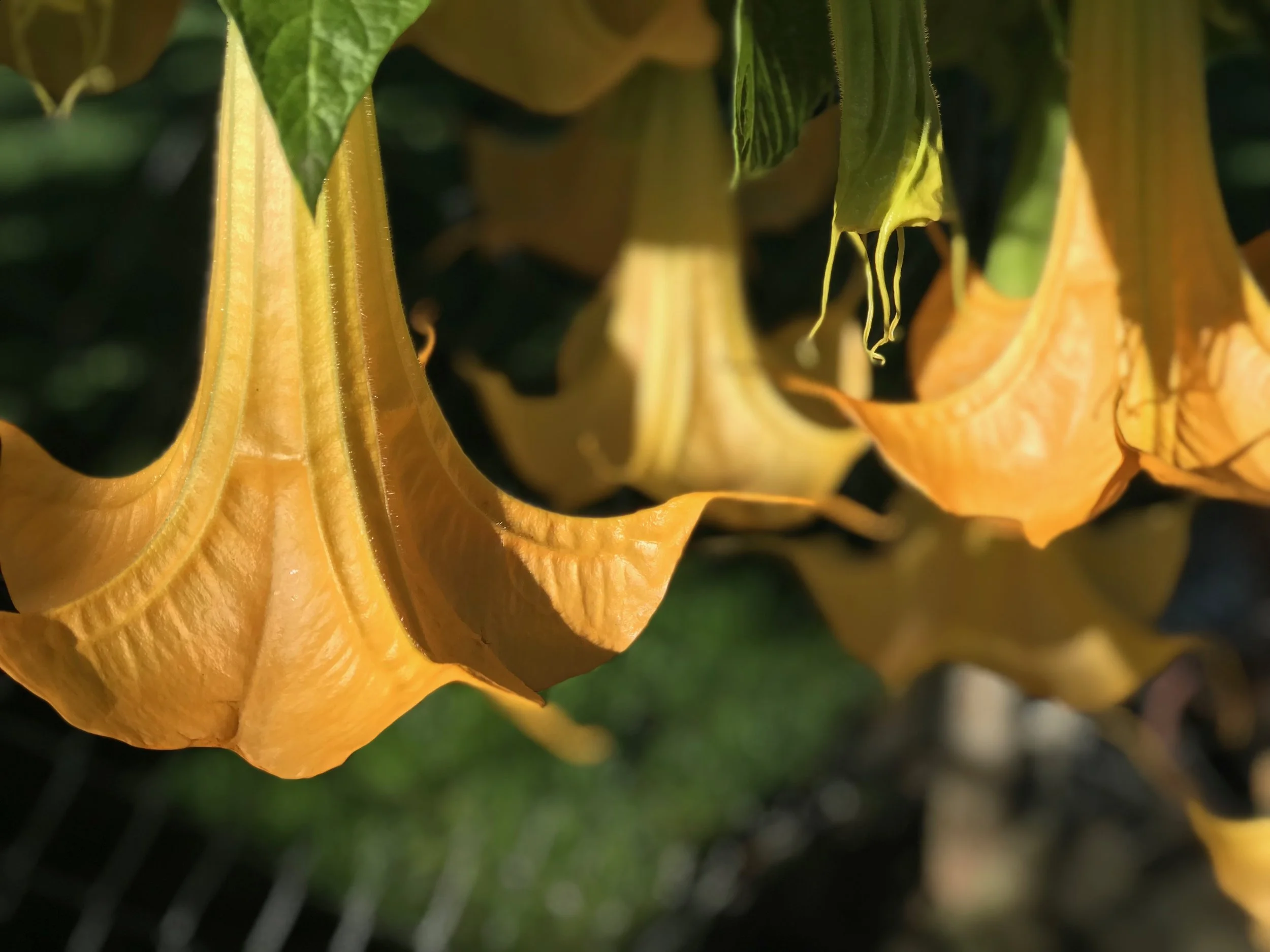 It's All Coming Together