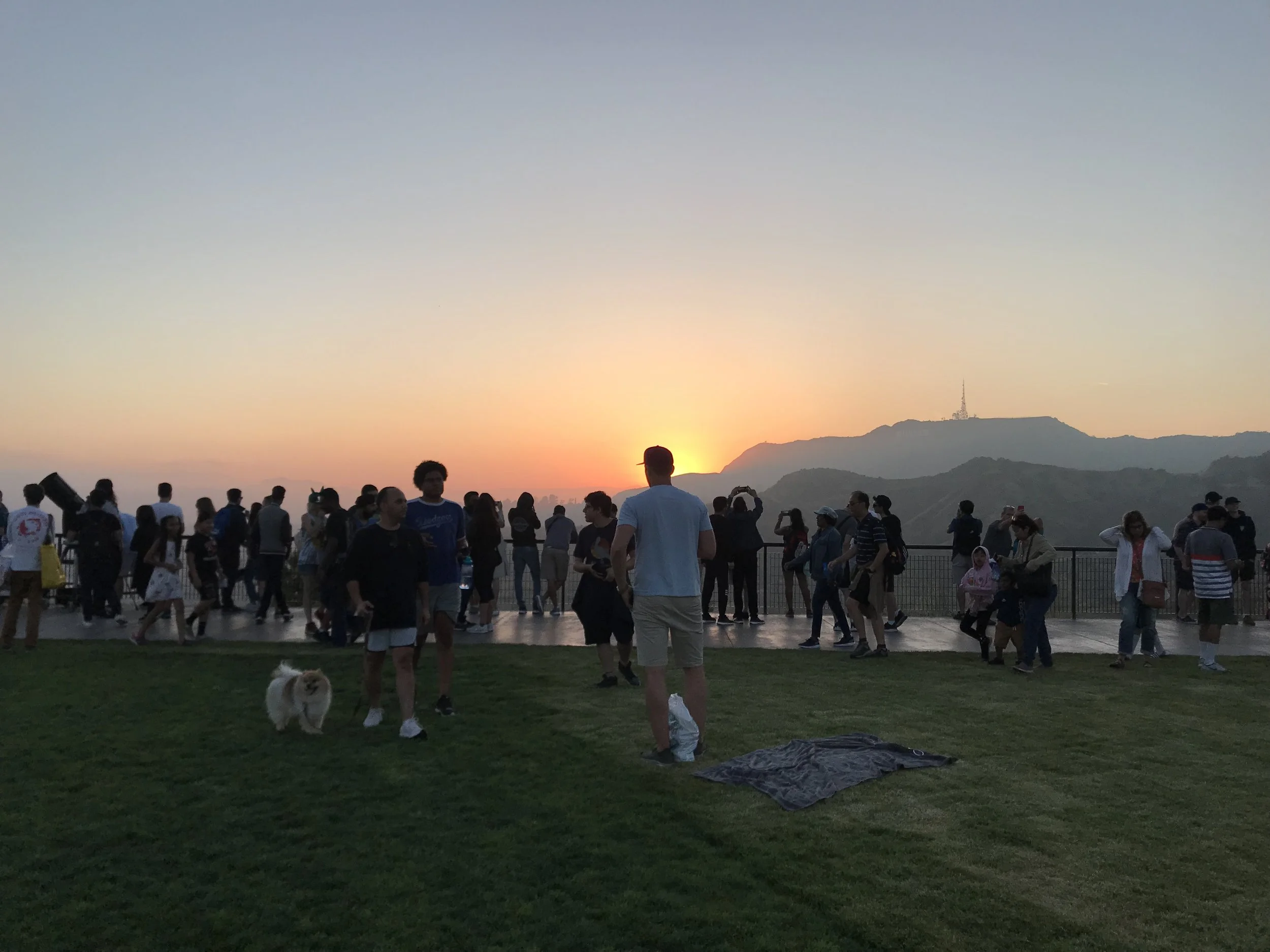 Plans Falling into Place